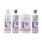 SPA MASTER PLATINUM SILVER CONDITIONER